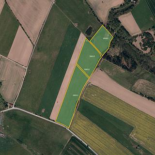 Prodej zemědělské půdy 53 562 m² Olšany