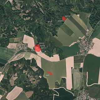 Prodej zemědělské půdy 49 876 m² Březová Lesní Albrechtice