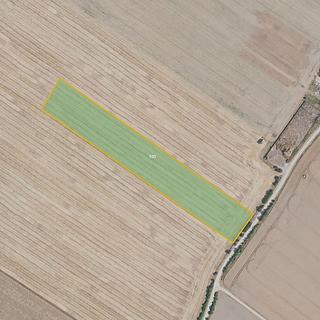 Prodej zemědělské půdy 65 324 m² Čachovice Struhy