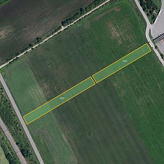 Prodej zemědělské půdy 7 801 m² Ladná