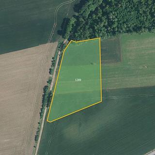 Prodej zemědělské půdy 20 472 m² Ivančice Němčice