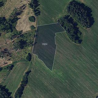 Prodej zemědělské půdy 11594 m&sup2; Věžná