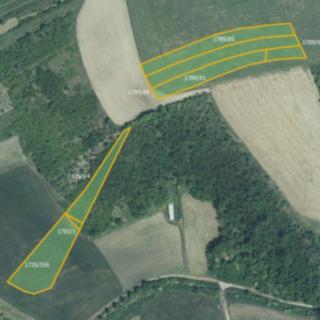 Prodej zemědělské půdy 36 394 m² Nosislav