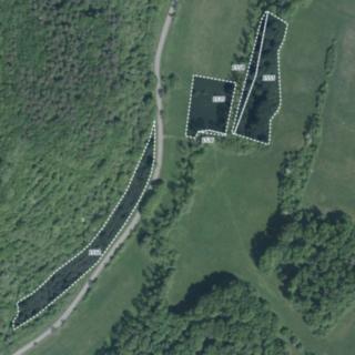 Prodej louky 27 635 m² Bojkovice Přečkovice