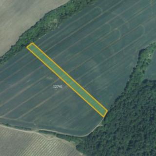 Prodej zemědělské půdy 5 978 m² Mutěnice