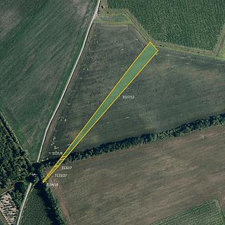 Prodej zemědělské půdy 6 188 m² Nový Poddvorov