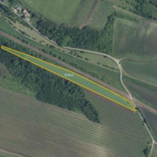 Prodej zemědělské půdy 9816 m² Novosedly