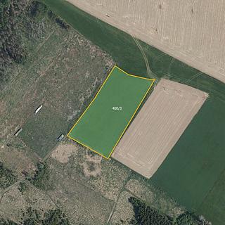 Prodej zemědělské půdy 17 687 m² Černá