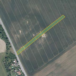 Prodej zemědělské půdy 4299 m&sup2; Blanné