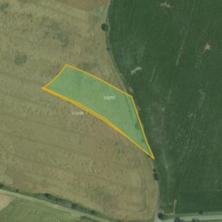 Prodej zemědělské půdy 12 920 m² Nýrov