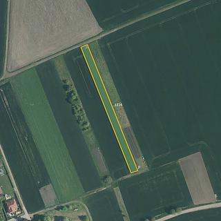 Prodej zemědělské půdy 4 398 m² Želatovice