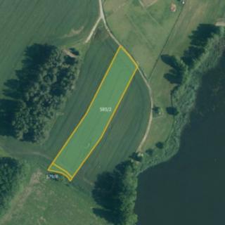 Prodej zemědělské půdy 11 823 m² Novosedly nad Nežárkou Kolence