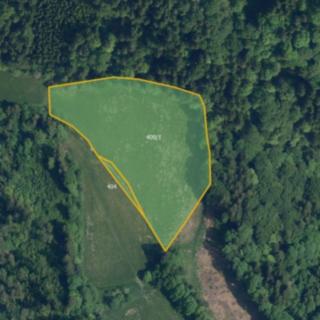 Prodej louky 13 529 m² Víchová nad Jizerou Horní Sytová