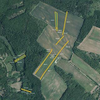 Prodej zemědělské půdy 17 890 m² Silůvky