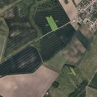 Prodej zemědělské půdy 15 640 m² Pacetluky