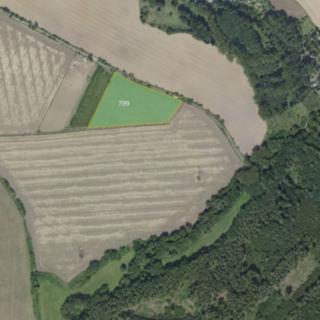 Prodej zemědělské půdy 13691 m² Sluštice