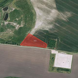 Prodej zemědělské půdy 6298 m&sup2; Šakvice