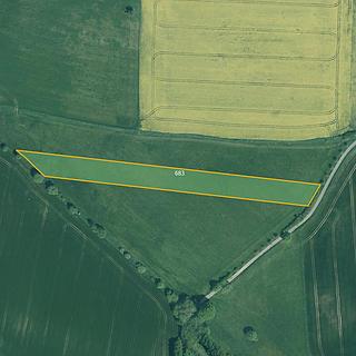 Prodej zemědělské půdy 7888 m&sup2; Bernartice