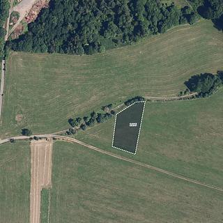 Prodej louky 8 009 m² Rovensko