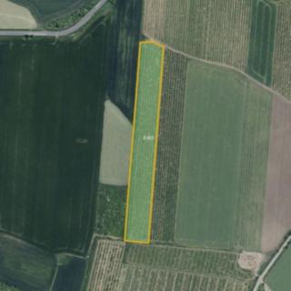 Prodej ostatních pozemků 28919 m² Želkovice