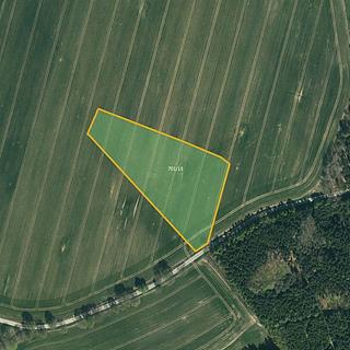 Prodej zemědělské půdy 5 469 m² Načeradec Olešná