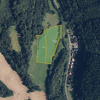 Prodej louky 15 330 m² Ruda nad Moravou Hostice
