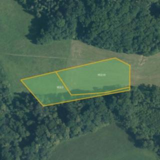Prodej louky 8628 m² Větřkovice