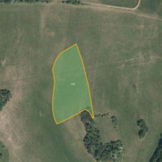 Prodej louky 7 883 m² Morašice