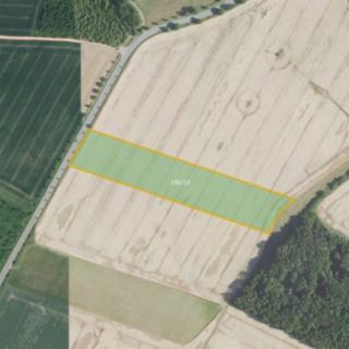 Prodej zemědělské půdy 27 361 m² Všesulov