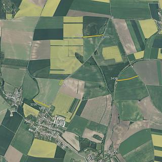 Prodej zemědělské půdy 6203 m² Dobromilice