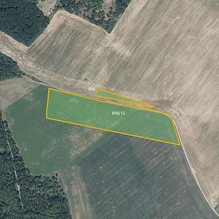 Prodej zemědělské půdy 11 072 m² Džbánice