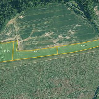 Prodej zemědělské půdy 19046 m² Radnice