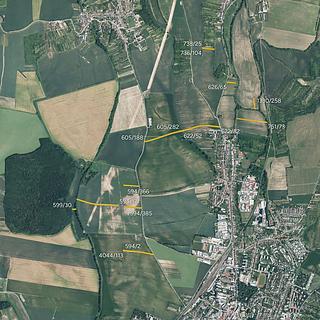 Prodej zemědělské půdy 25990 m&sup2; Kyjov