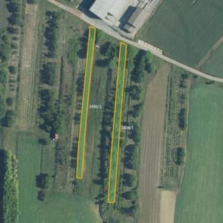 Prodej ostatního pozemku 4 866 m² Brumovice