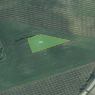 Prodej zemědělské půdy 9 092 m² Čejč