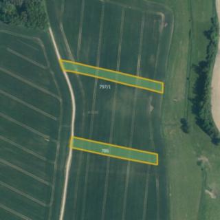 Prodej zemědělské půdy 15713 m² Doňov