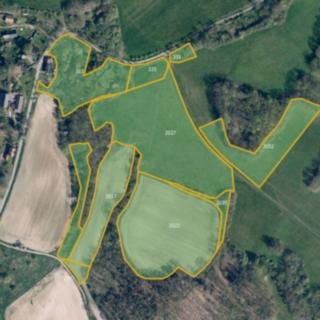 Prodej louky 11754 m² Kravaře