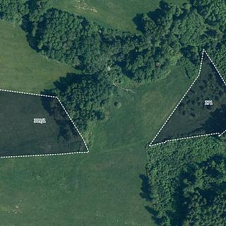 Prodej zemědělské půdy 13 624 m² Plánice Bližanovy