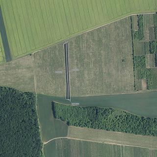 Prodej louky 9 612 m² Brumovice