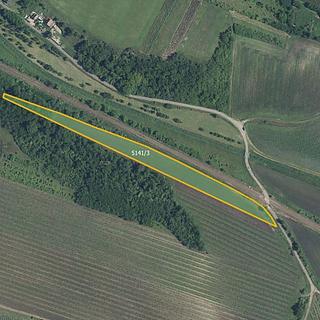Prodej zemědělské půdy 9 816 m² Novosedly