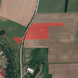 Prodej zemědělské půdy 24 456 m² Kobeřice