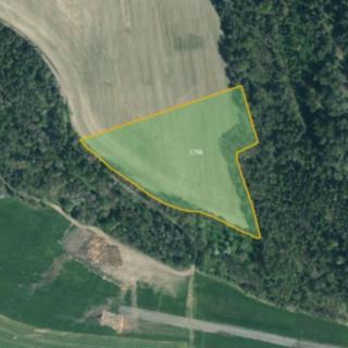Prodej zemědělské půdy 17 750 m² Koloveč
