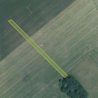 Prodej zemědělské půdy 4508 m² Veselí nad Moravou