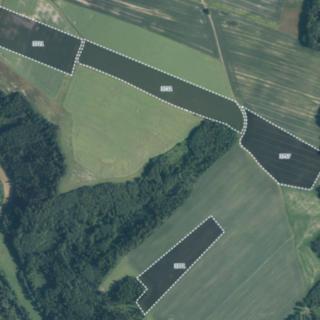 Prodej zemědělské půdy 135 514 m² Jindřichov