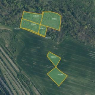 Prodej zemědělské půdy 17 610 m² Mělník