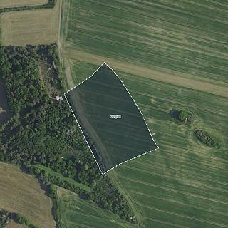 Prodej zemědělské půdy 11 756 m² Petříkov Radimovice