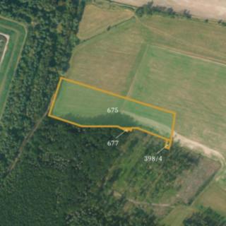 Prodej lesa 17371 m² Újezd u Sezemic