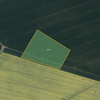 Prodej zemědělské půdy 10983 m² Sběř