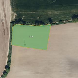 Prodej zemědělské půdy 2 551 m² Rybitví