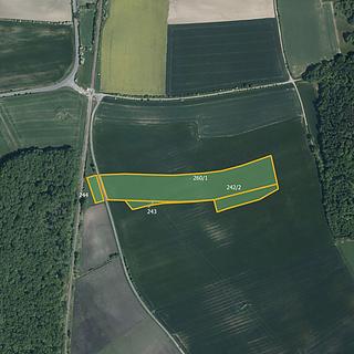 Prodej zemědělské půdy 19 275 m² Očelice